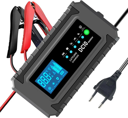 Caricabatterie, Caricabatterie, 12V, 24V, con display digitale, automatico, con controllo intelligente
