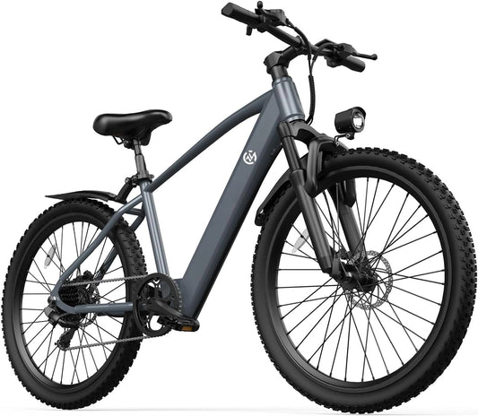 Bicicletta, Bicicletta elettrica, 250 W, 36 V, 10,4 Ah